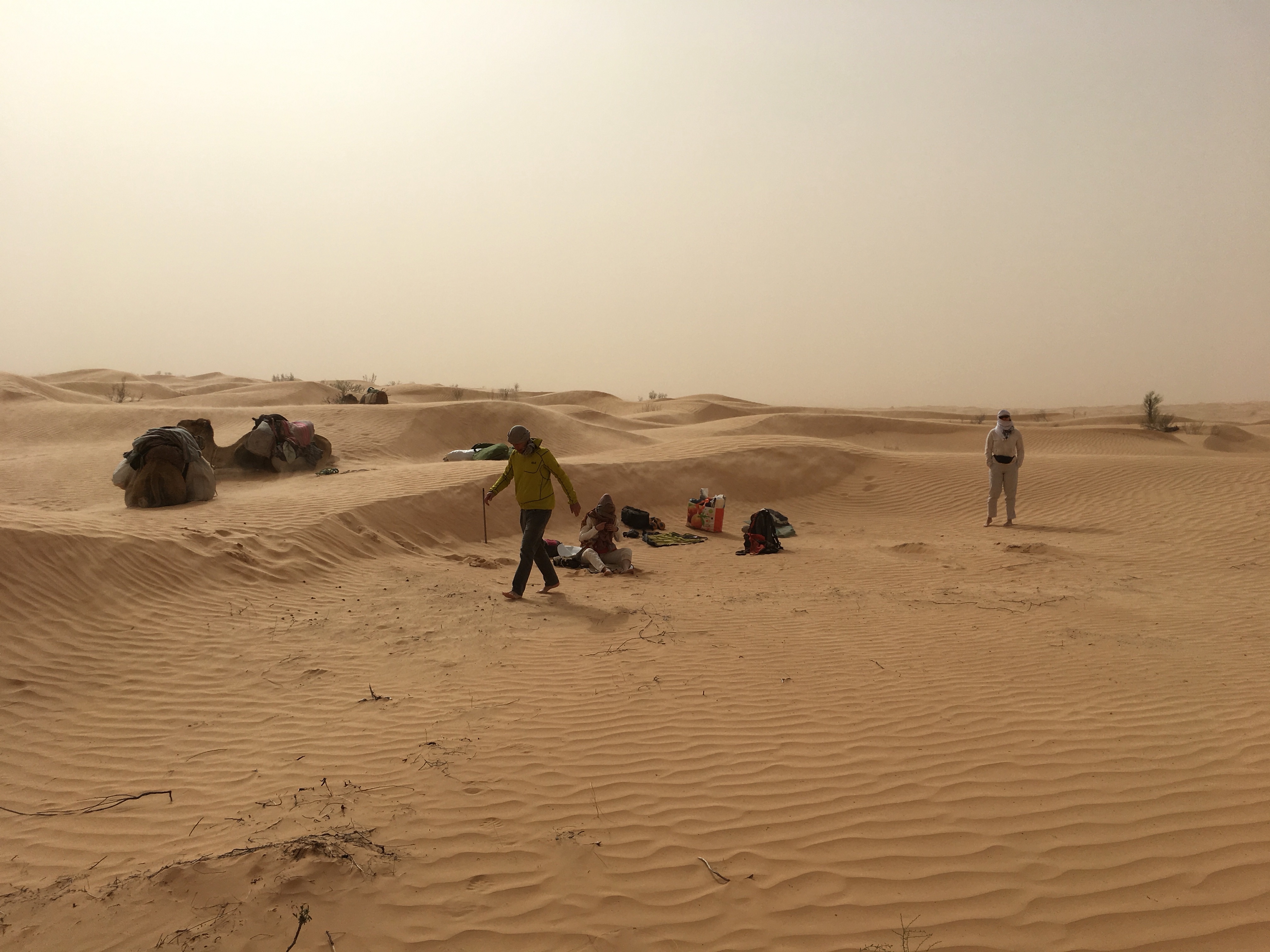Mittags ist viel Sand unterwegs 